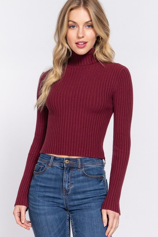 Turtleneck Ribbed Sweater